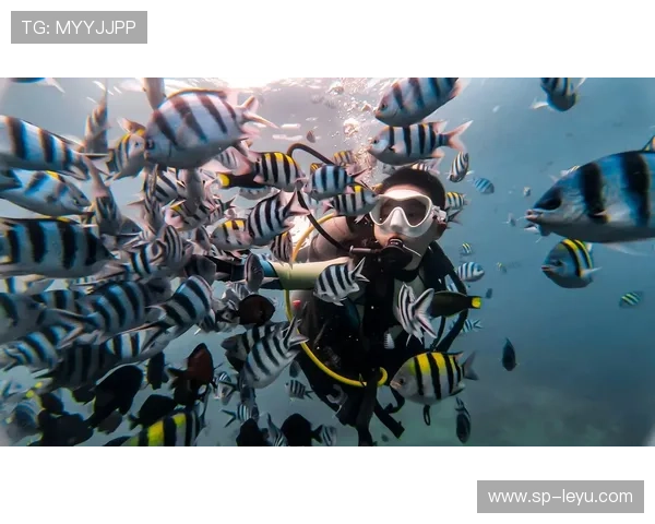 _夜光潜水：探索神秘海底世界_，夜光珠在水底有诱鱼的作用吗