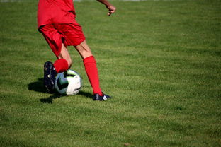 篮球专项技能训练标准体系建设，篮球专项训练方法和手段